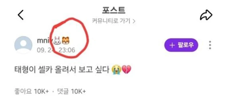 圖片來源:Instiz
