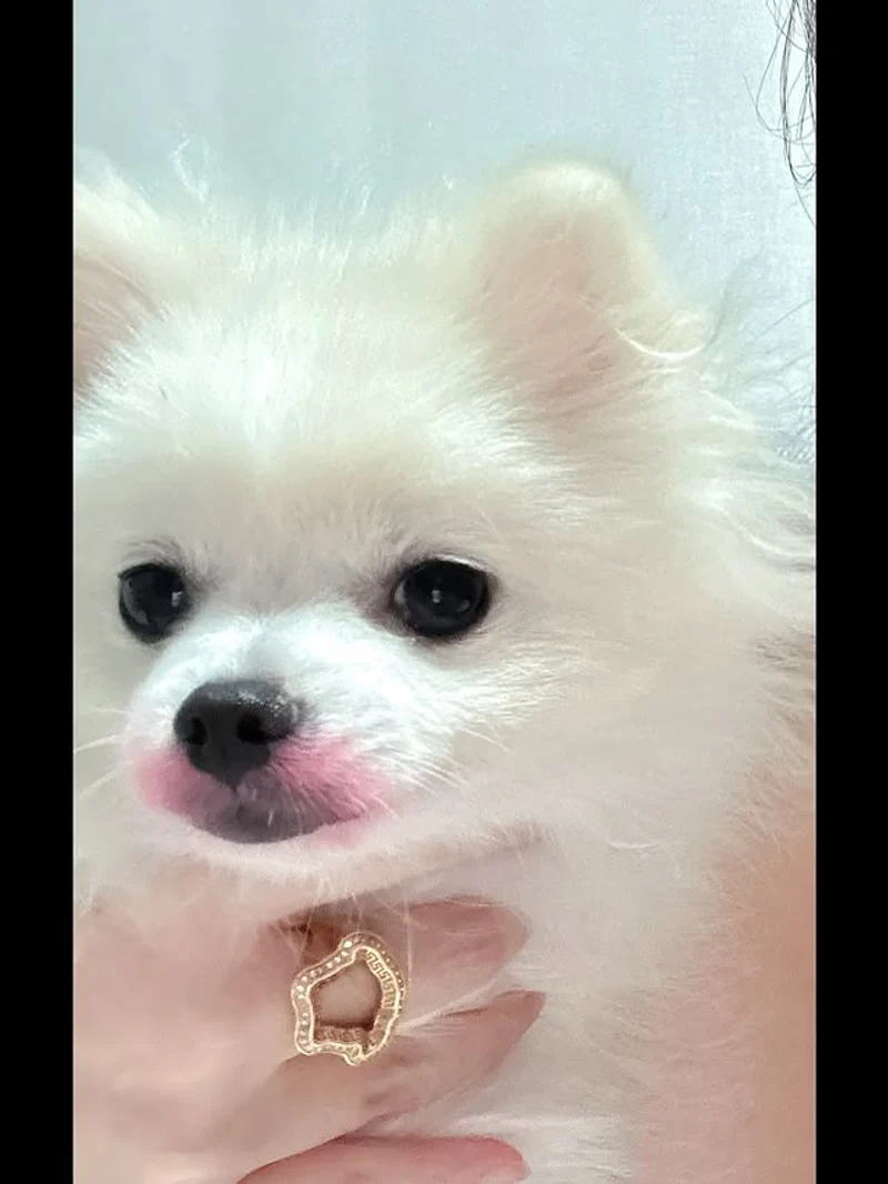 圖片來源：IG@newharoobompark