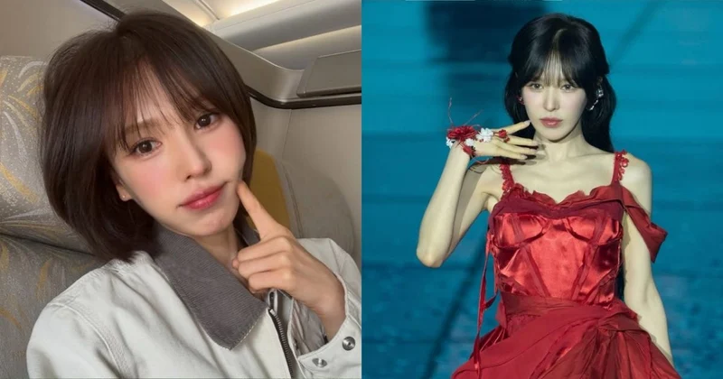 Wendy北美巡演慘淡喊卡!7場竟「0完售」粉絲砲轟主辦:不負責任
