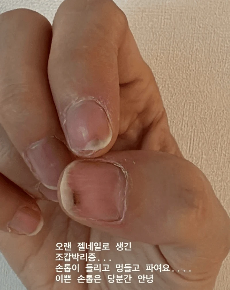 圖片來源:IG@greentee.park