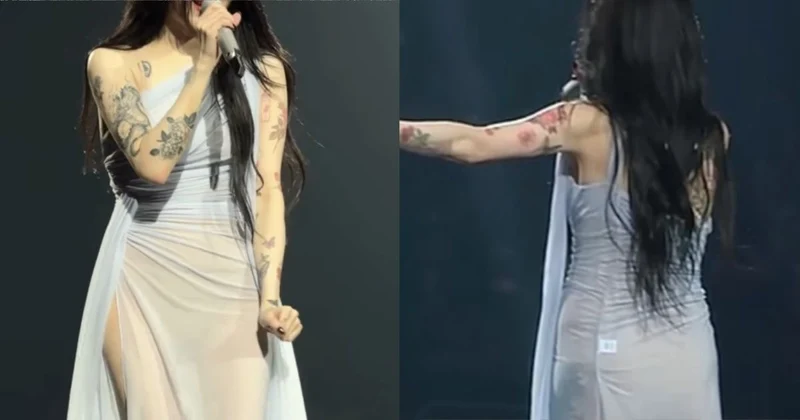 尺度破表！韓女歌手開唱穿「透視裝」疑真空上陣　網暴動：裡面沒穿？