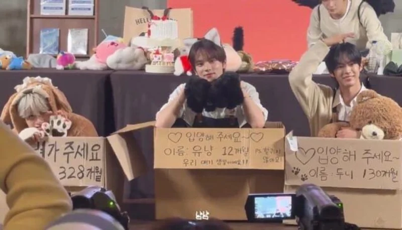 圖片來源：網絡圖片