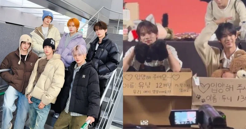 誇張！TWS簽名會遭粉絲「裝箱領養」！網炸鍋：有必要這樣賺？