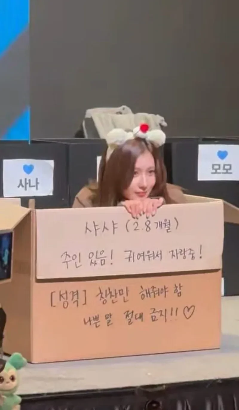 圖片來源：網絡圖片