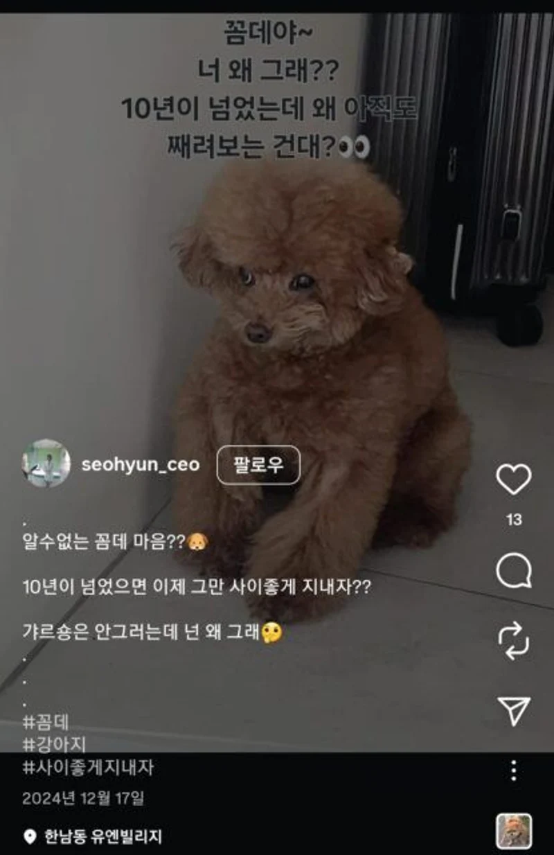 圖片來源：IG@seohyun_ceo