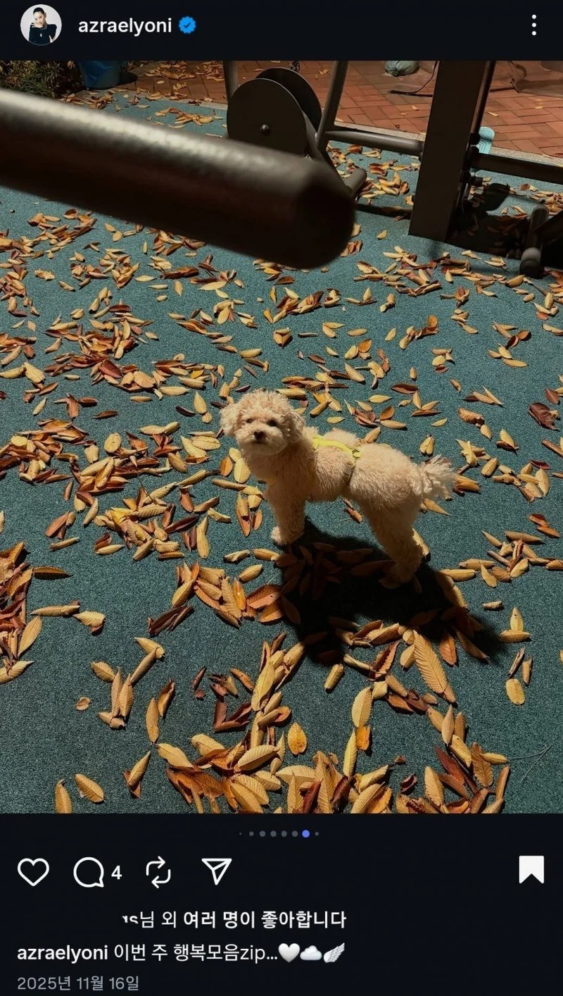圖片來源：IG@azraelyoni