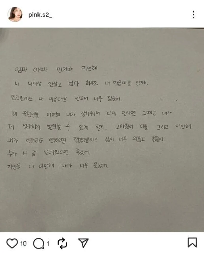 圖片來源：IG@pink.s2_