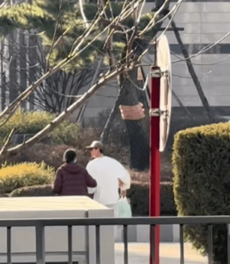 圖片來源：網絡圖片