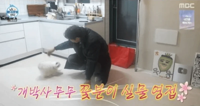 圖片來源：MBC《我獨自生活》