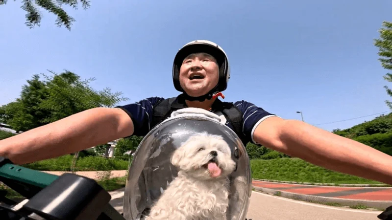 圖片來源：MBC《我獨自生活》