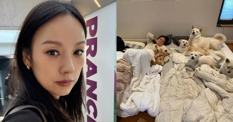 李孝利曬毛孩居家日常竟遭出征！慘遭轟「太髒」 網酸：狗毛滿天飛