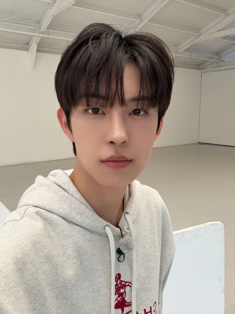 圖片來源：X@ALD1_official