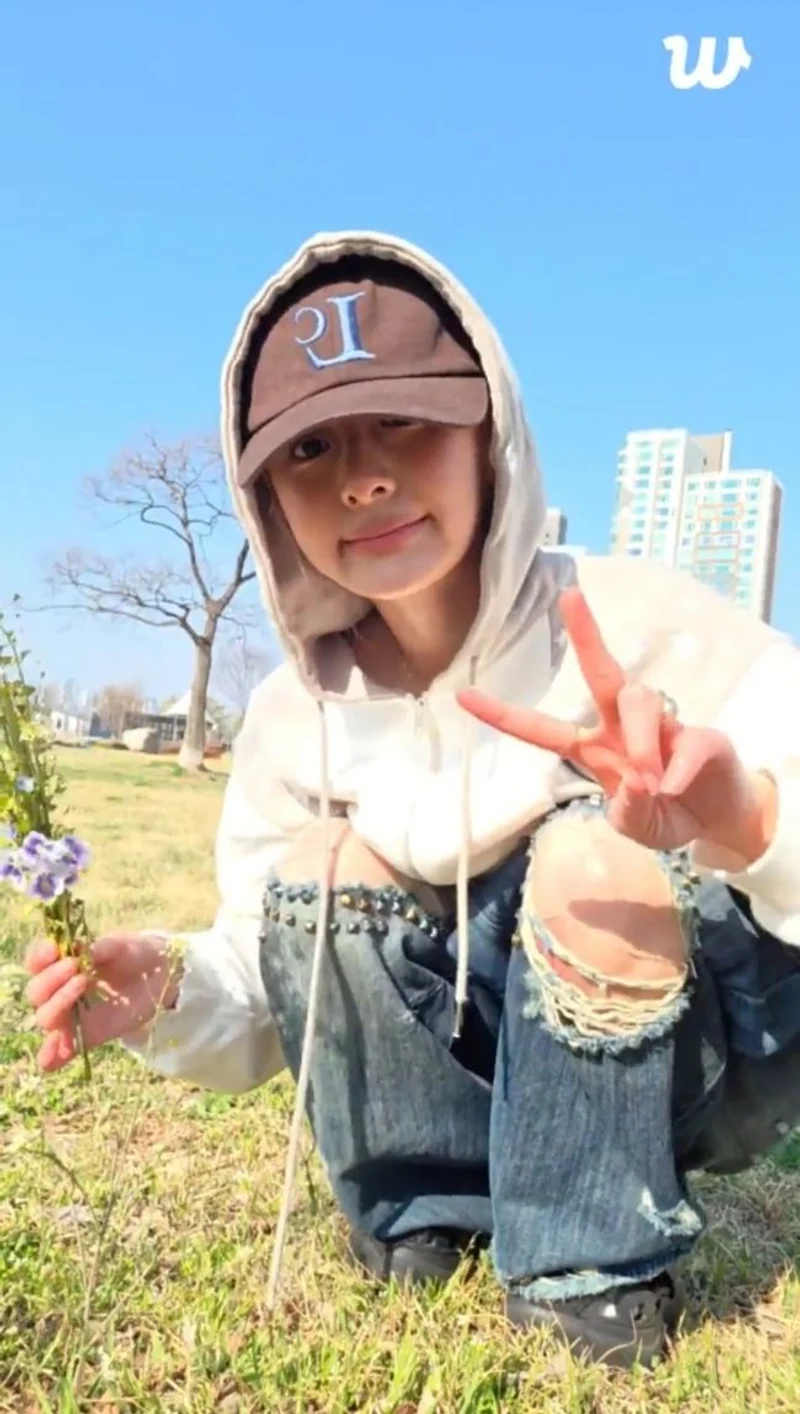 圖片來源：Weverse