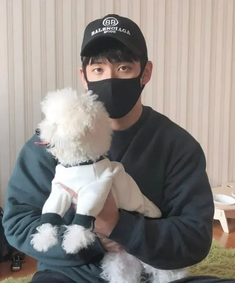 圖片來源：網絡圖片