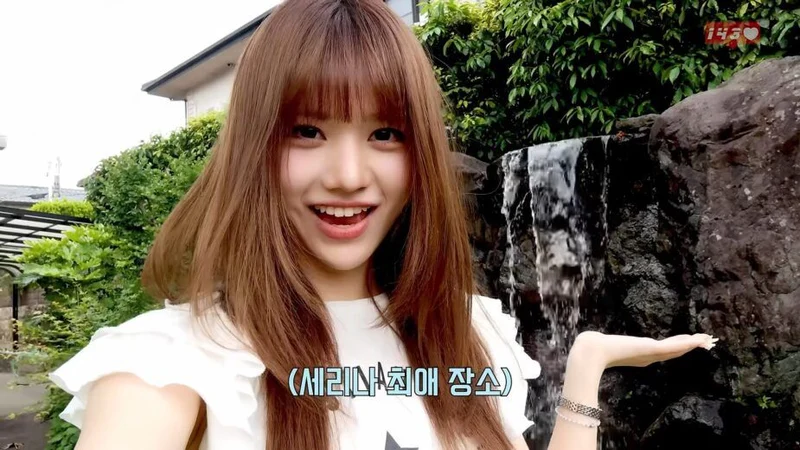 圖片來源：YouTube@MADEIN